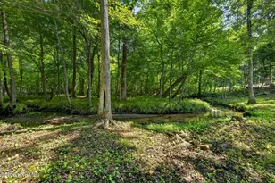 1537 Grandiflora Dr, Leland, NC 28451 - Photo 32