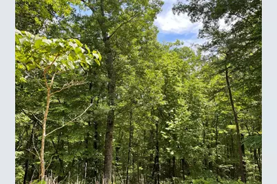 21 Collett Woods Trail, Andrews, NC 28901 - Photo 18