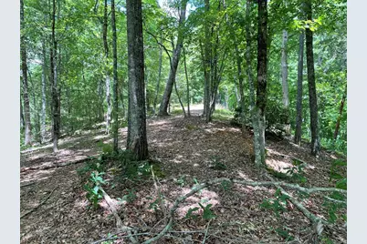 21 Collett Woods Trail, Andrews, NC 28901 - Photo 8