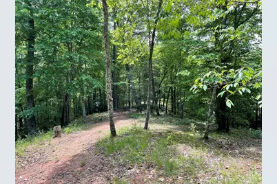 21 Collett Woods Trail, Andrews, NC 28901 - Photo 14