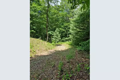 21 Collett Woods Trail, Andrews, NC 28901 - Photo 4
