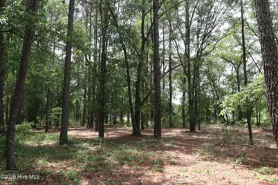 Tbd Hayne Stretch Road Road, Roseboro, NC 28382 - Photo 12
