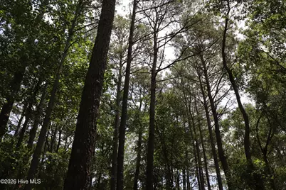 Tbd Hayne Stretch Road Road, Roseboro, NC 28382 - Photo 14