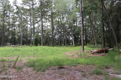 Tbd Hayne Stretch Road Road, Roseboro, NC 28382 - Photo 8