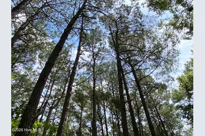 Tbd Hayne Stretch Road Road, Roseboro, NC 28382 - Photo 26