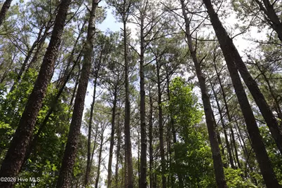 Tbd Hayne Stretch Road Road, Roseboro, NC 28382 - Photo 18