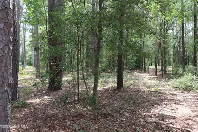 Tbd Hayne Stretch Road Road, Roseboro, NC 28382 - Photo 16