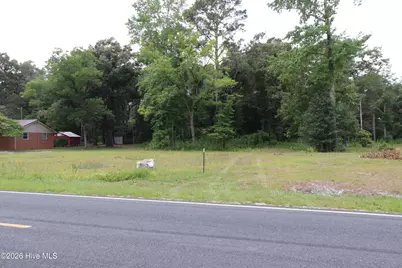 Tbd Hayne Stretch Road Road, Roseboro, NC 28382 - Photo 4