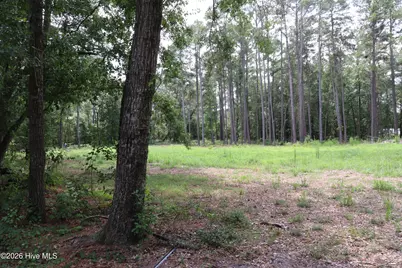 Tbd Hayne Stretch Road Road, Roseboro, NC 28382 - Photo 10