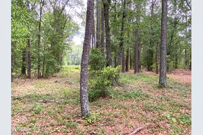 Tbd Hayne Stretch Road Road, Roseboro, NC 28382 - Photo 22