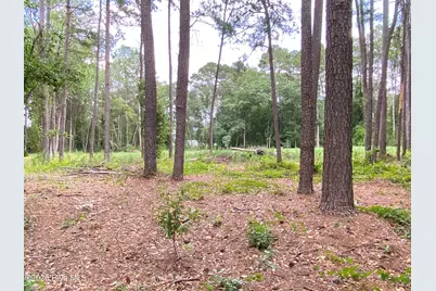 Tbd Hayne Stretch Road Road, Roseboro, NC 28382 - Photo 28