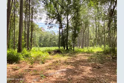 Tbd Hayne Stretch Road Road, Roseboro, NC 28382 - Photo 20