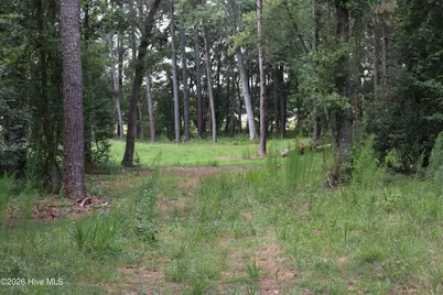 Tbd Hayne Stretch Road Road, Roseboro, NC 28382 - Photo 6