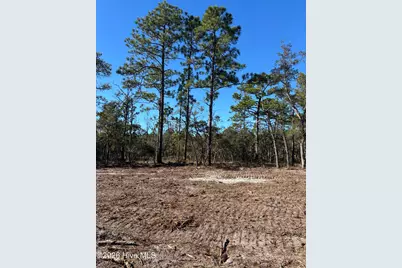 Lot 125 Coral Gull Street, Southport, NC 28461 - Photo 1