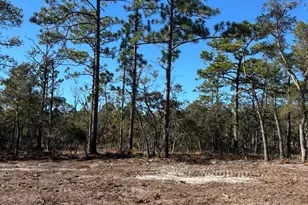 Lot 125 Coral Gull St, Southport, NC 28461 - Photo 1