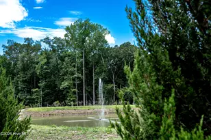 21 Paddington Wy, Trent Woods, NC 28562 - Photo 8