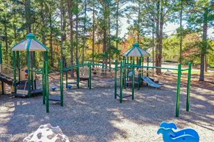 209 Longleaf Dr, West End, NC 27376 - Photo 58