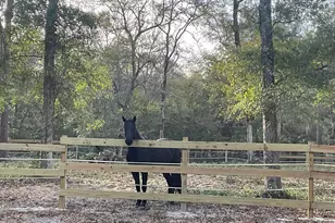 2659 Seashore Rd SW, Supply, NC 28462 - Photo 60