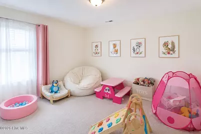 524 Harvest Meadow Crossing, Jacksonville, NC 28546 - Photo 18