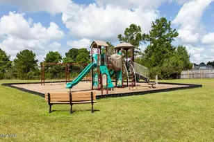 3178 Lobelia Ln, Leland, NC 28451 - Photo 20