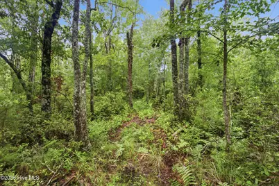 305 Tropical Trail, Beaufort, NC 28516 - Photo 42