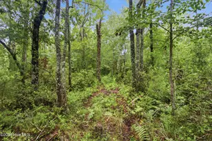 305 Tropical Trail, Beaufort, NC 28516 - Photo 42