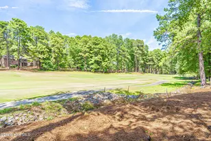 118 Berkshire Ct, Seven Lakes, NC 27376 - Photo 48
