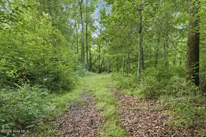 857 Mill River Road, Jacksonville, NC 28540 - Photo 12
