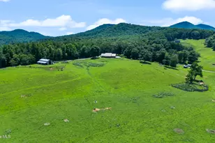 102 Cross Creek Ln, Warne, NC 28909 - Photo 98
