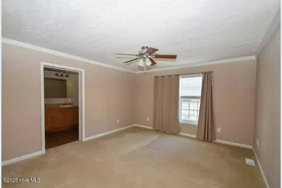 873 Tyson Chapel Church Road, Farmville, NC 27828 - Photo 16