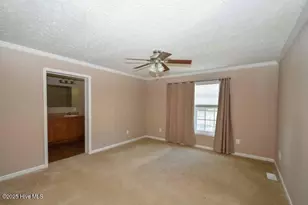 873 Tyson Chapel Church Rd, Farmville, NC 27828 - Photo 16