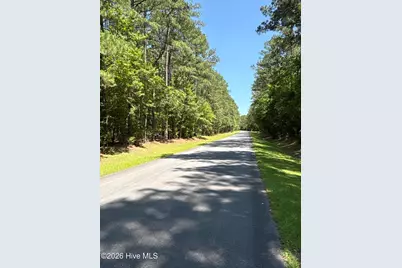 45 Headwaters Drive, Oriental, NC 28571 - Photo 4