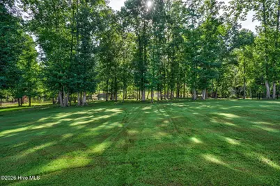 1385 Blue Heron Drive, Nashville, NC 27856 - Photo 44