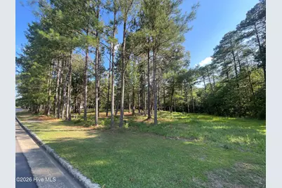 231 Meyer Farm Drive, Pinehurst, NC 28374 - Photo 4