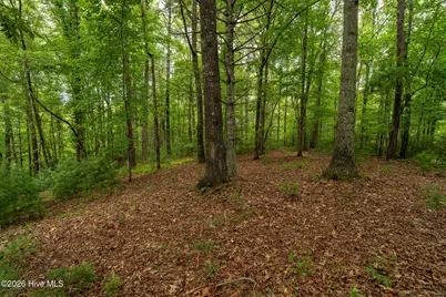 48 Puma Lane, Murphy, NC 28906 - Photo 44