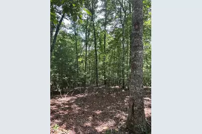 Lot 208 Boulder Creek Road, Murphy, NC 28906 - Photo 6