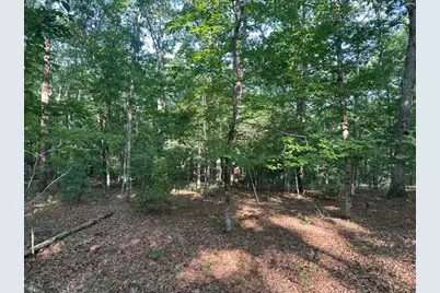 Lot 208 Boulder Creek Road, Murphy, NC 28906 - Photo 1