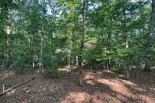 Lot 208 Boulder Creek Rd, Murphy, NC 28906 - Photo 1