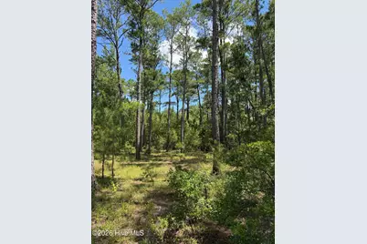 532 Old Hoover Bridge Road, Elizabethtown, NC 28337 - Photo 4