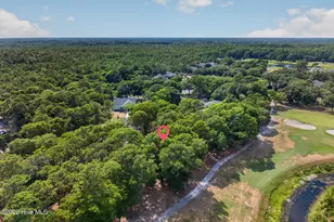 3060 Purple Finch Ln SW, Supply, NC 28462 - Photo 40