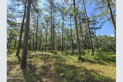Tbd Peach Orchard Road, Wagram, NC 28396 - Photo 2