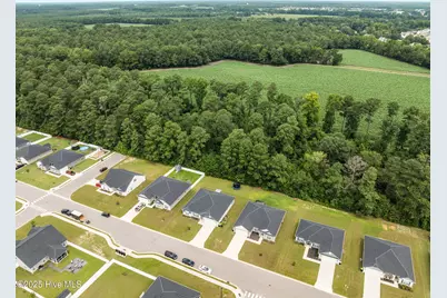 2653 Brittia Lane, Winterville, NC 28590 - Photo 50