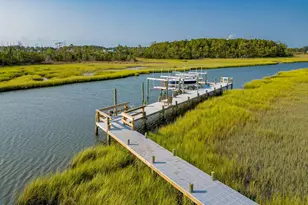 301 Ransom Brook Ct, Beaufort, NC 28516 - Photo 38