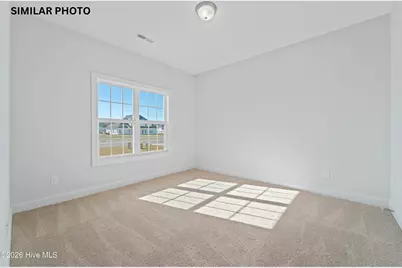 202 Windsor Run Boulevard, Jacksonville, NC 28546 - Photo 28