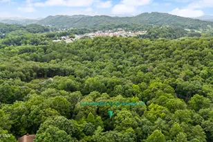33 Hundred Acre Woods Dr, Murphy, NC 28906 - Photo 40