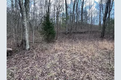 Tbd Pack Mountain Road, Murphy, NC 28906 - Photo 24