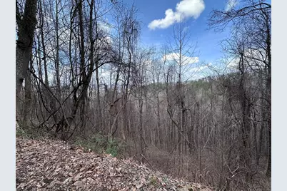 Tbd Pack Mountain Road, Murphy, NC 28906 - Photo 34