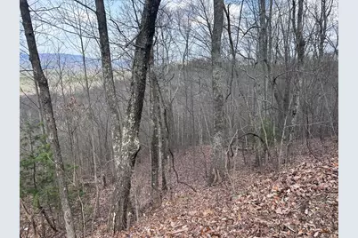 Tbd Pack Mountain Road, Murphy, NC 28906 - Photo 22