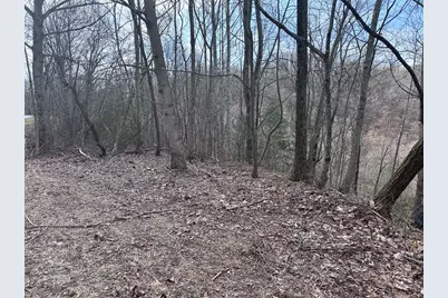 Tbd Pack Mountain Road, Murphy, NC 28906 - Photo 26