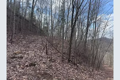 Tbd Pack Mountain Road, Murphy, NC 28906 - Photo 36